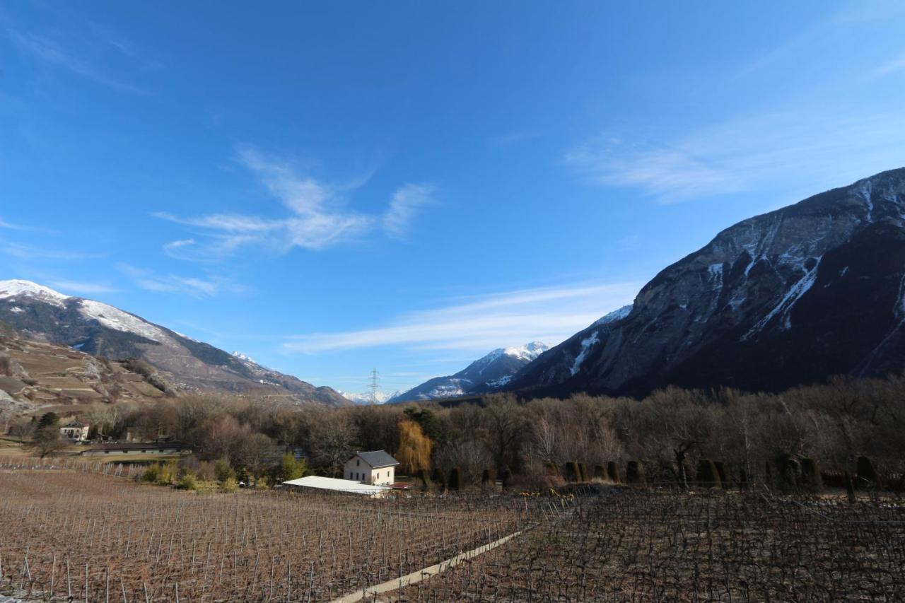 Bnb Vino Veritas Salgesch ภายนอก รูปภาพ