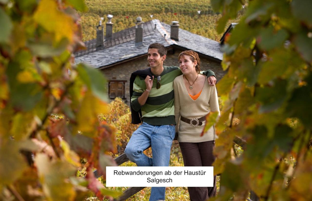 Bnb Vino Veritas Salgesch ภายนอก รูปภาพ